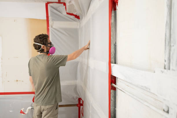 Best Asbestos and Lead Testing During Mold Inspection  in Macarthur, WV