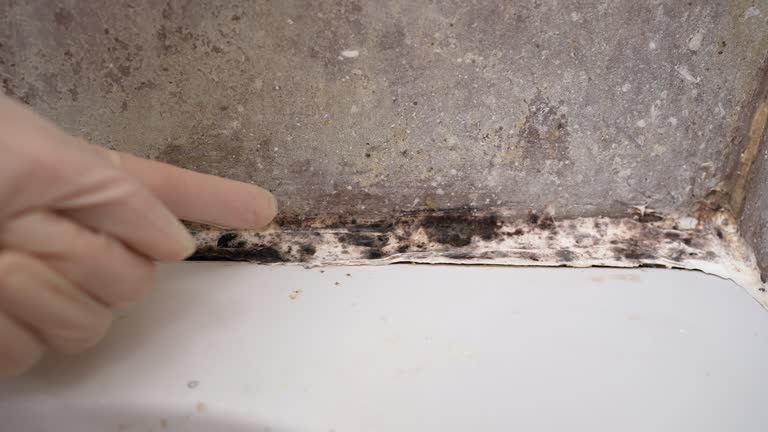 Best HVAC Mold Inspection and Cleaning  in Macarthur, WV